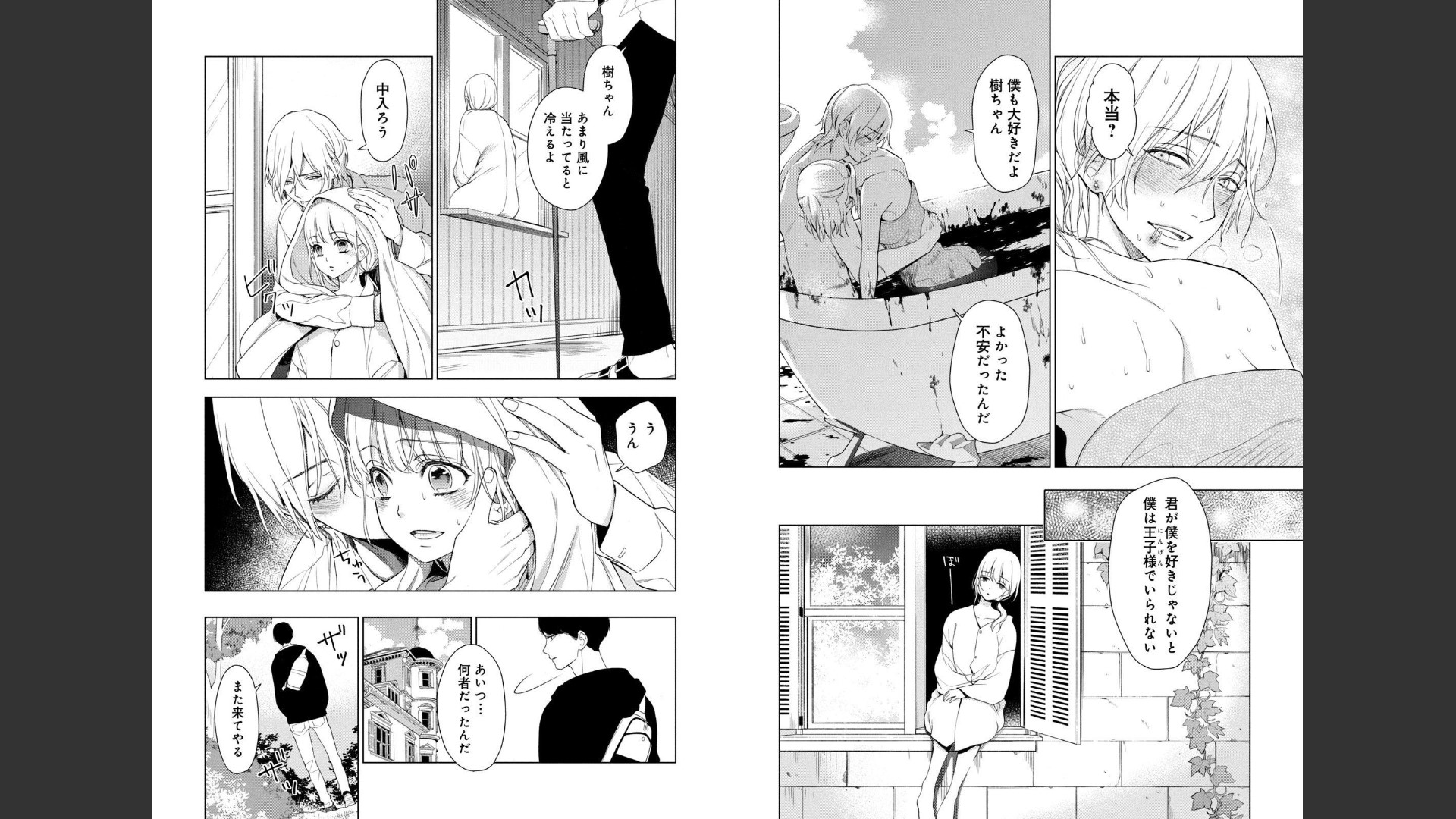 《我的病弱吸血鬼/私とこわれた吸血鬼》漫画 第2卷 (生肉)