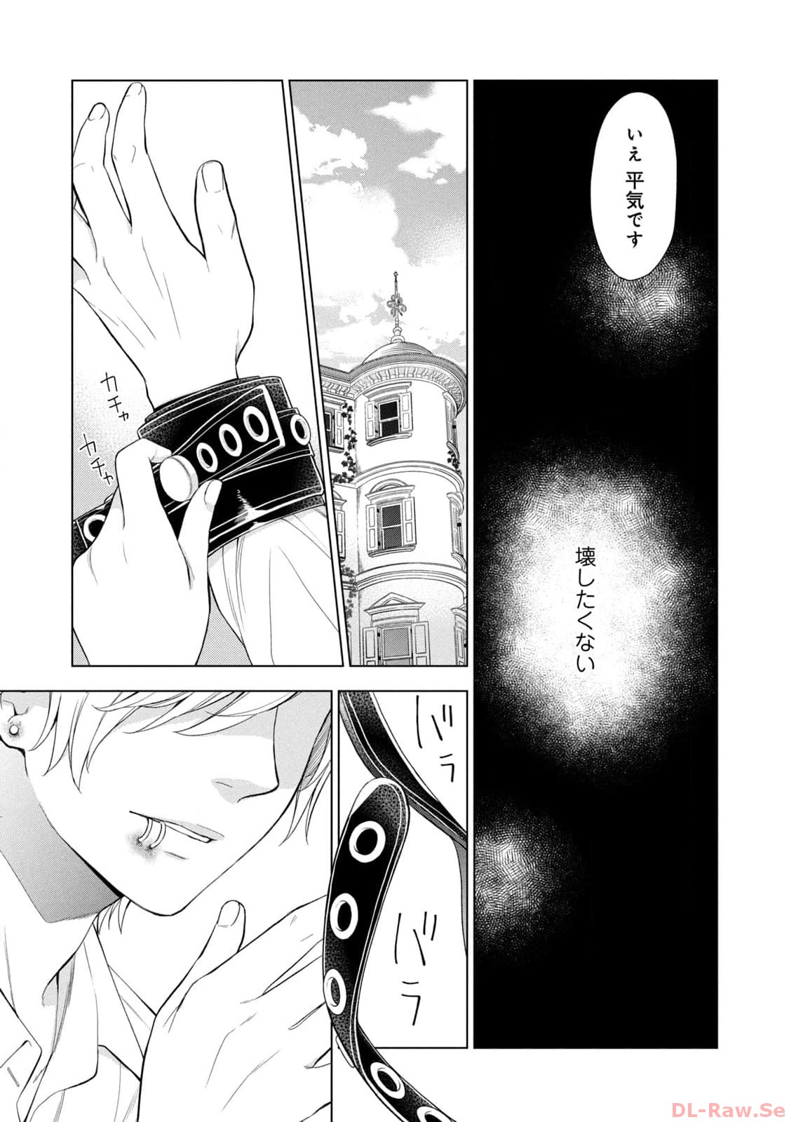 《我的病弱吸血鬼/私とこわれた吸血鬼》漫画 第4卷 (生肉)