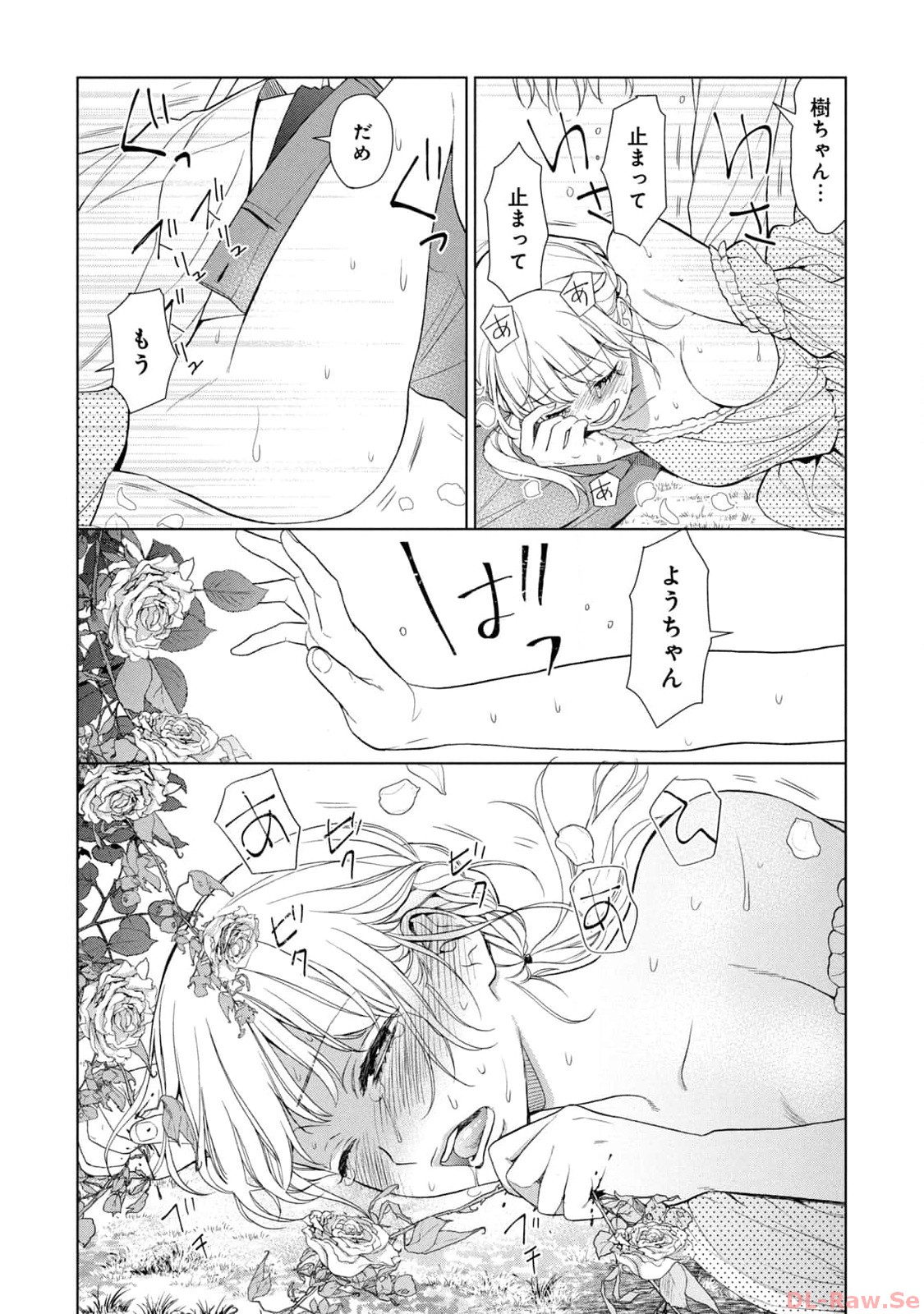 《我的病弱吸血鬼/私とこわれた吸血鬼》漫画 第6卷 (生肉)