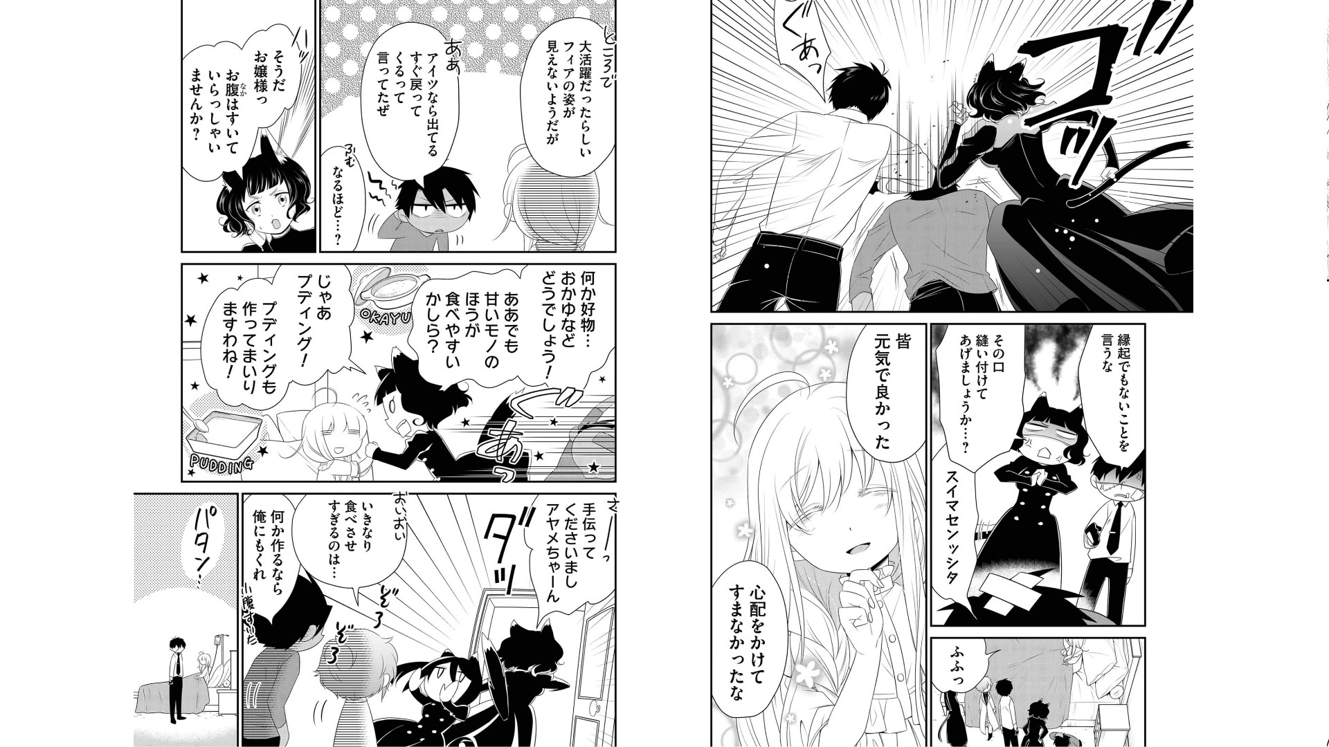 《白蔷薇的弗兰肯斯坦》漫画 第4卷 (生肉)