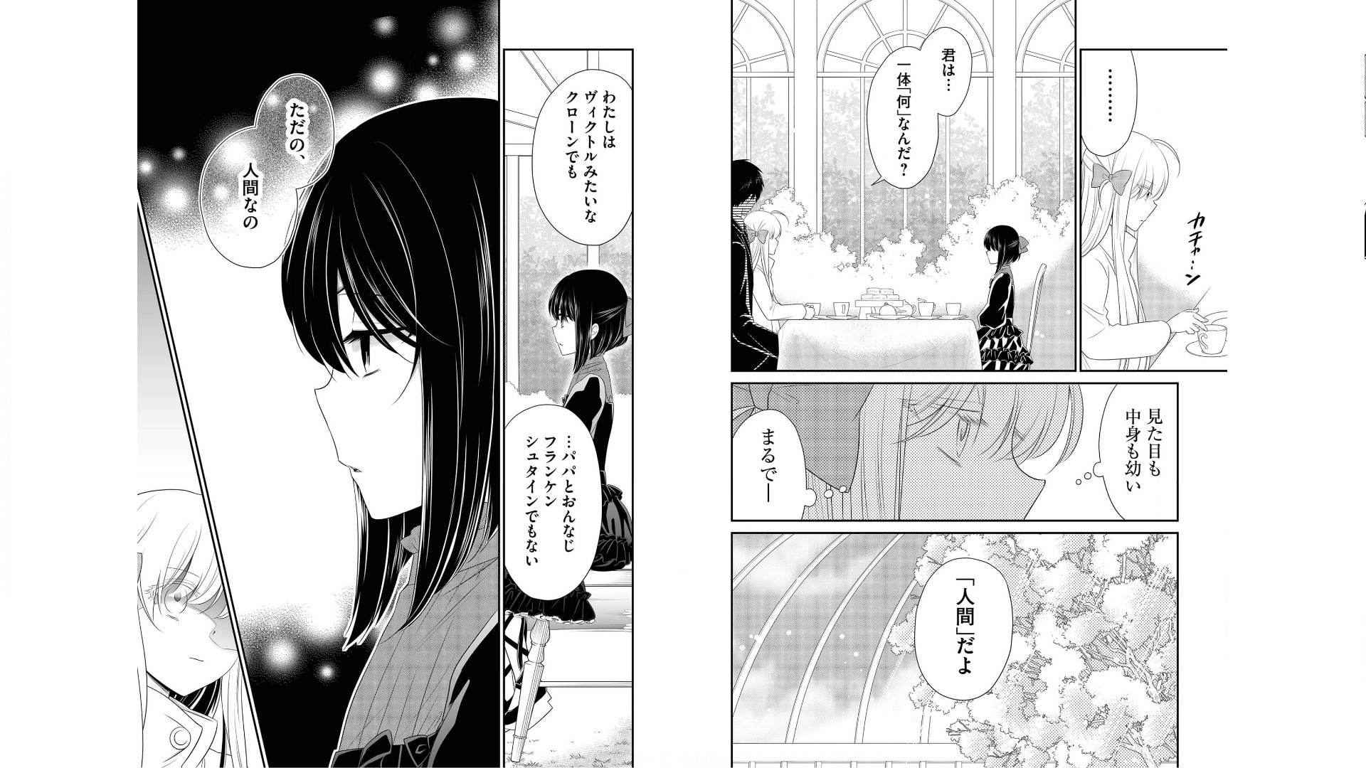 《白蔷薇的弗兰肯斯坦》漫画 第6卷 (生肉)