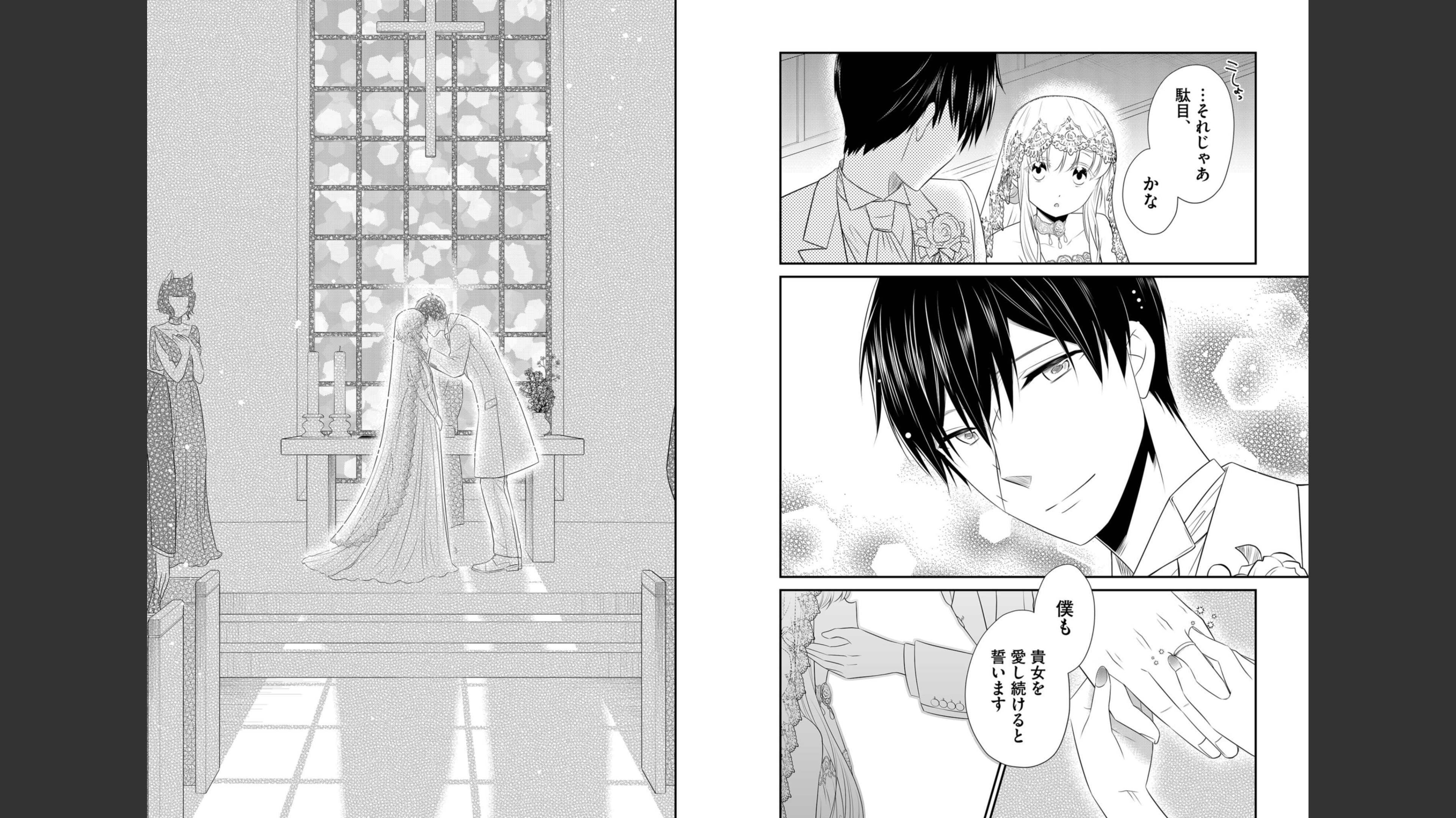 《白蔷薇的弗兰肯斯坦》漫画 最终卷 (生肉)