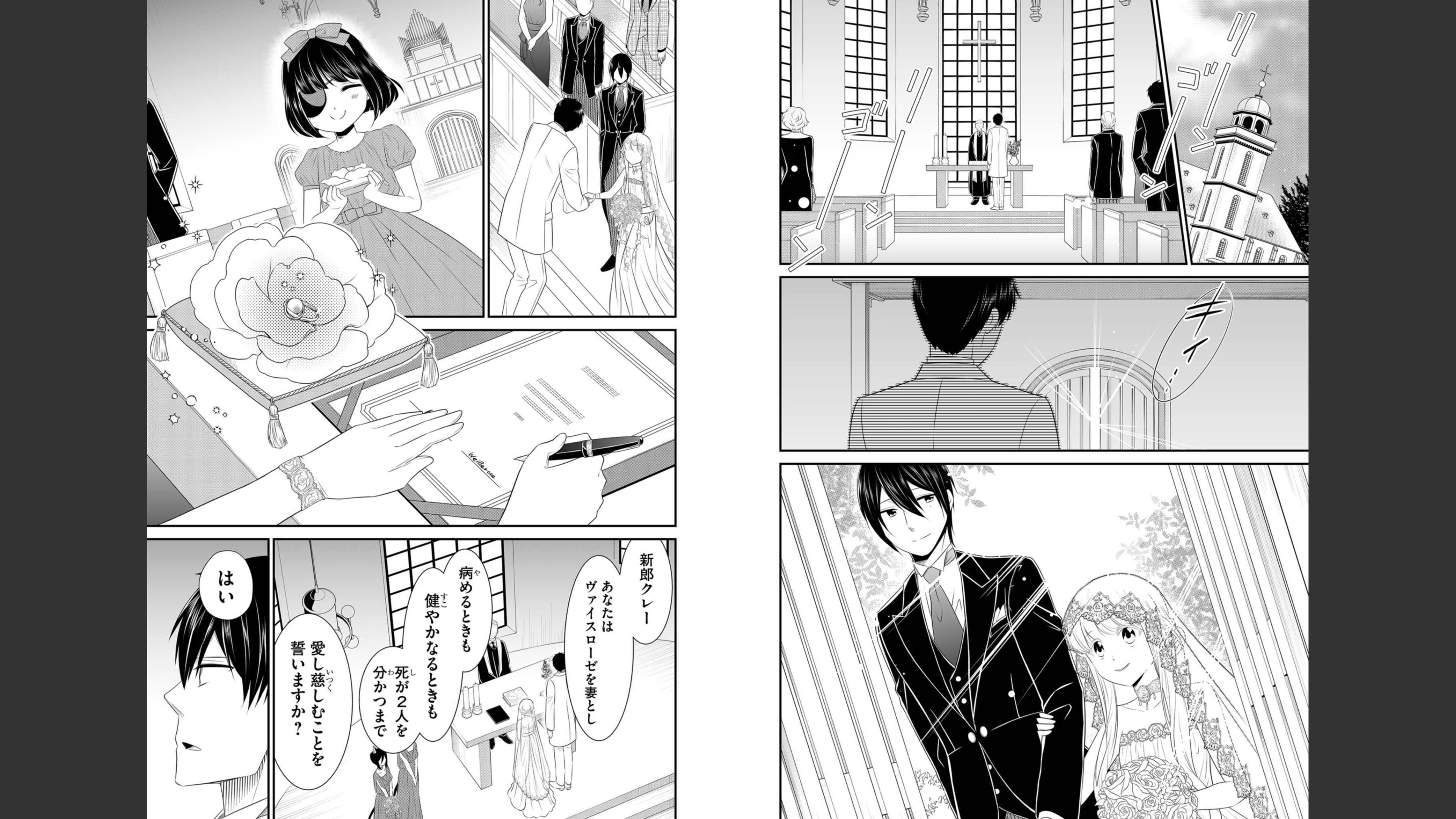 《白蔷薇的弗兰肯斯坦》漫画 最终卷 (生肉)