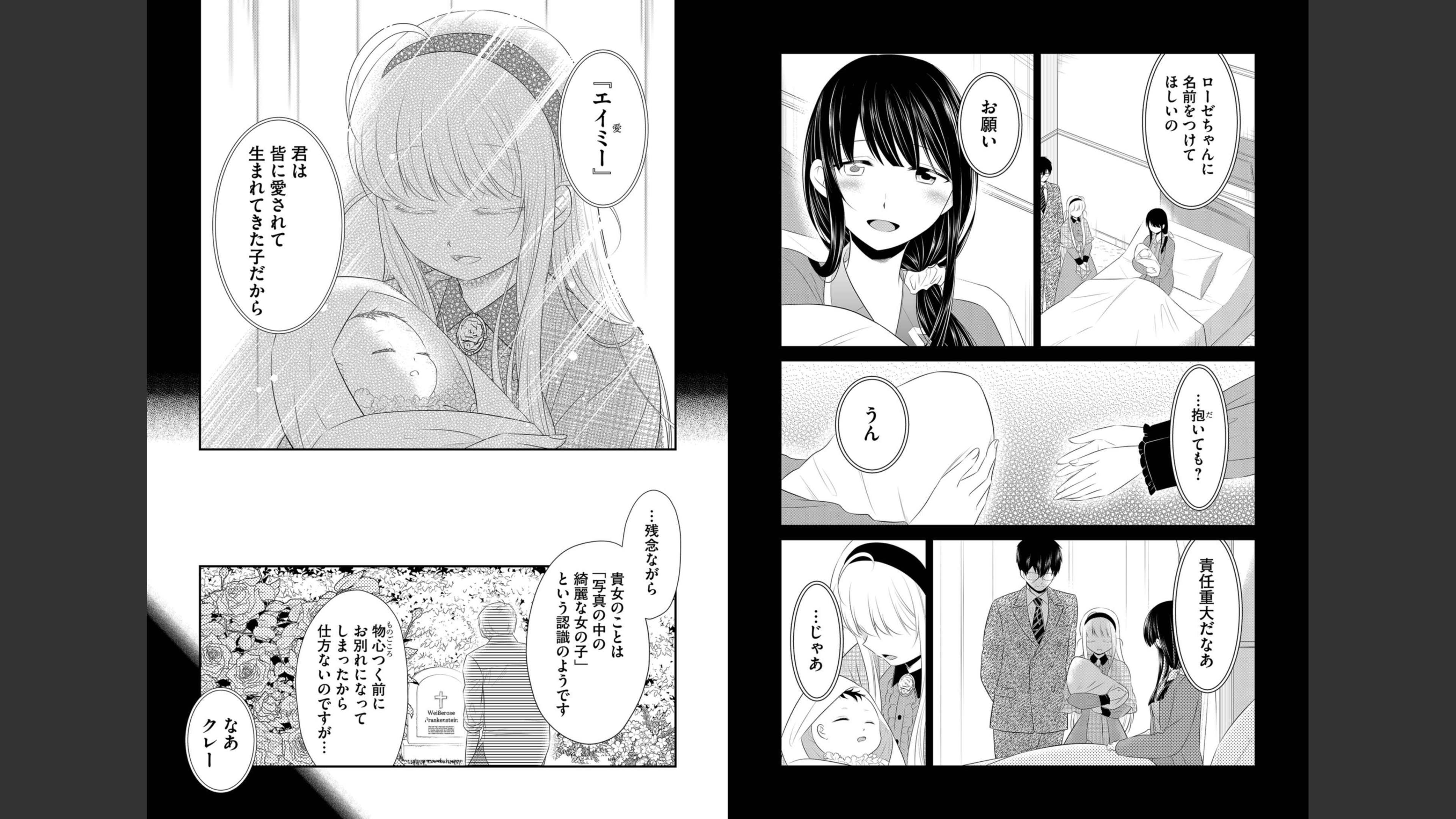 《白蔷薇的弗兰肯斯坦》漫画 最终卷 (生肉)