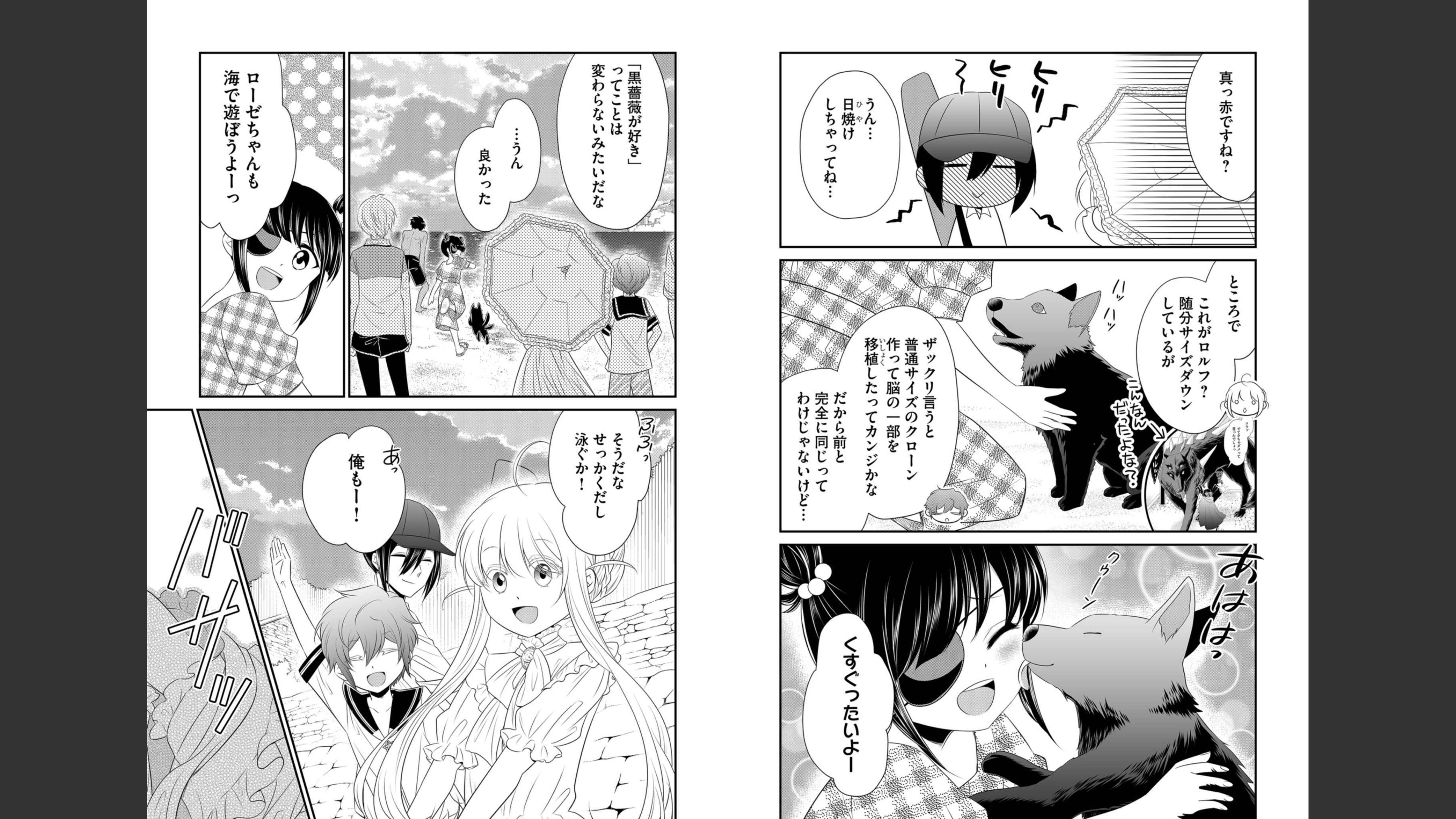 《白蔷薇的弗兰肯斯坦》漫画 最终卷 (生肉)