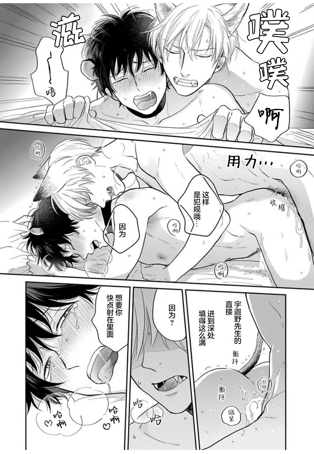 《款待的是亲吻和鸣叫2-3｜ごちそうΩはチュウと鳴く2-3》漫画 小册子[第一部]