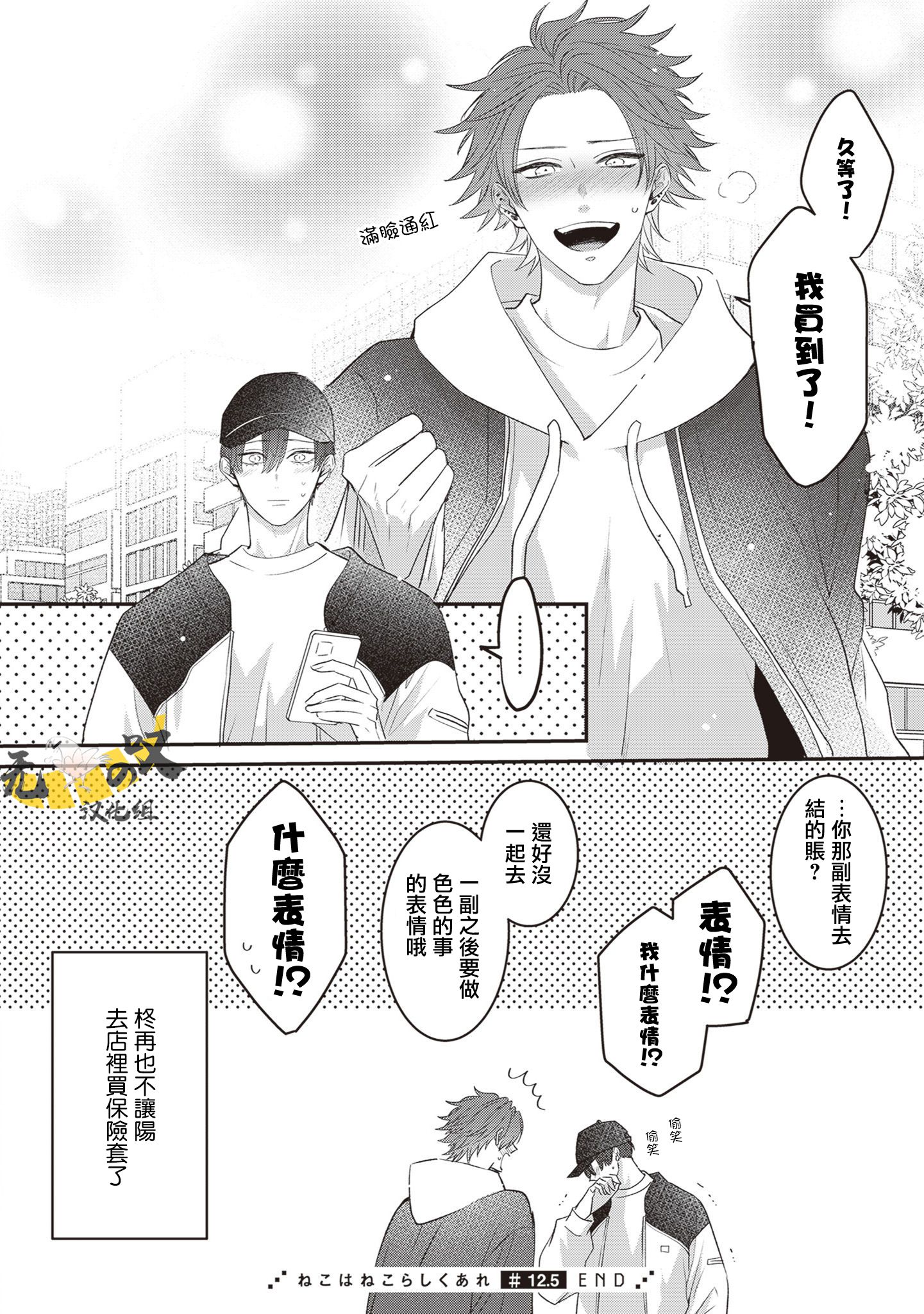 《猫模猫样丨ねこはねこらしくあれ》漫画 第三卷 加笔