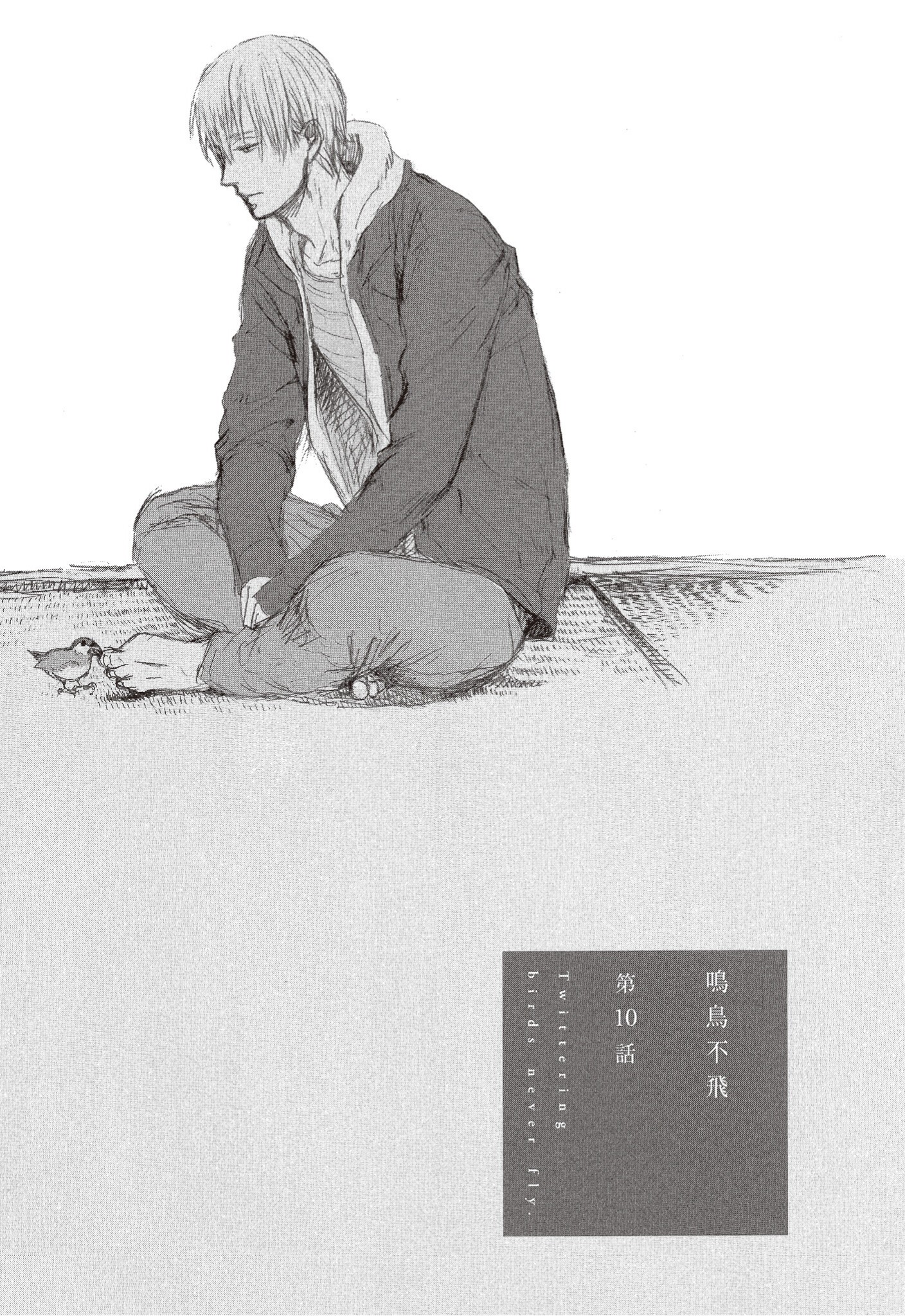 《鸣鸟不飞（单行本版）》漫画 第2册