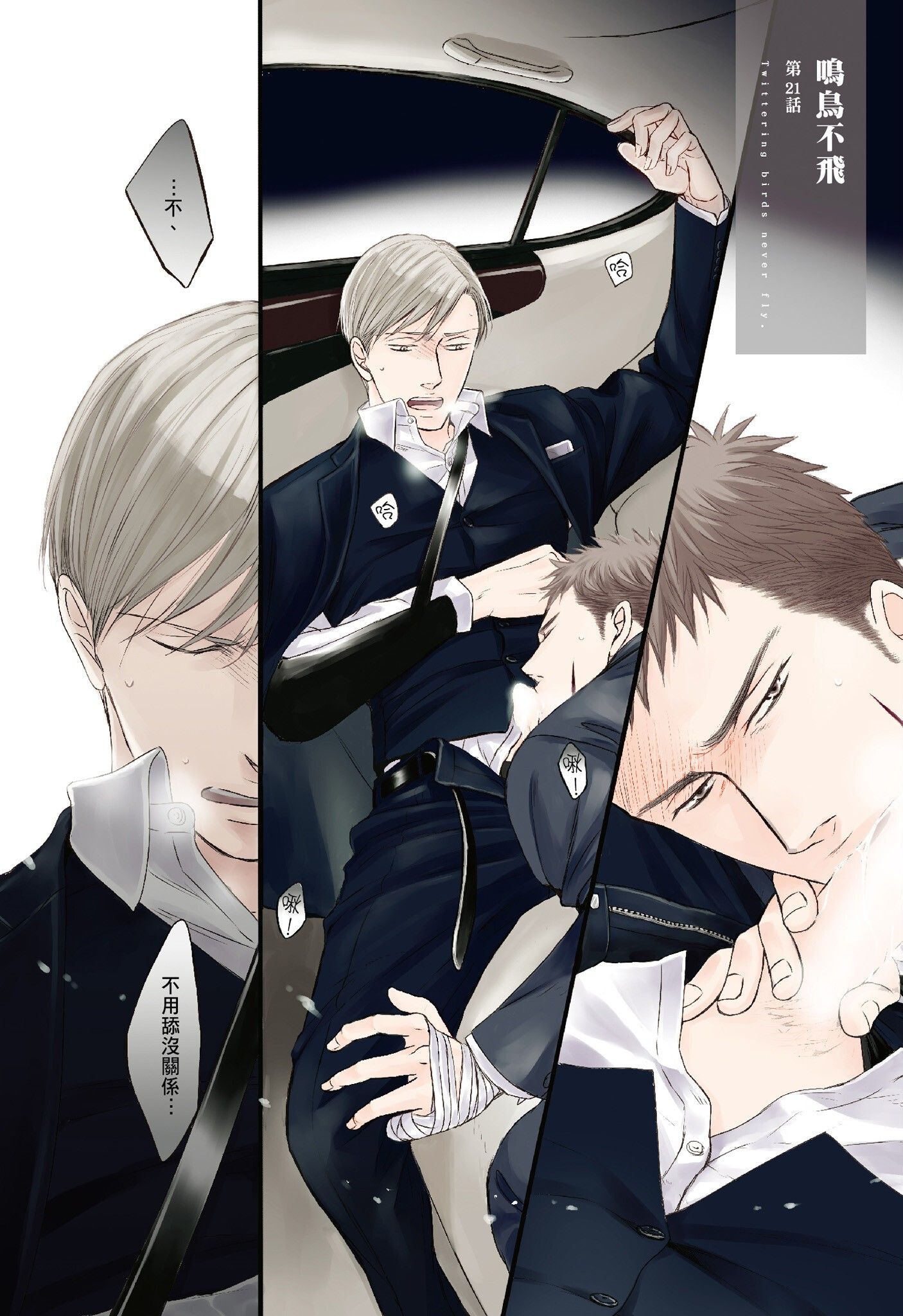 《鸣鸟不飞（单行本版）》漫画 第4册