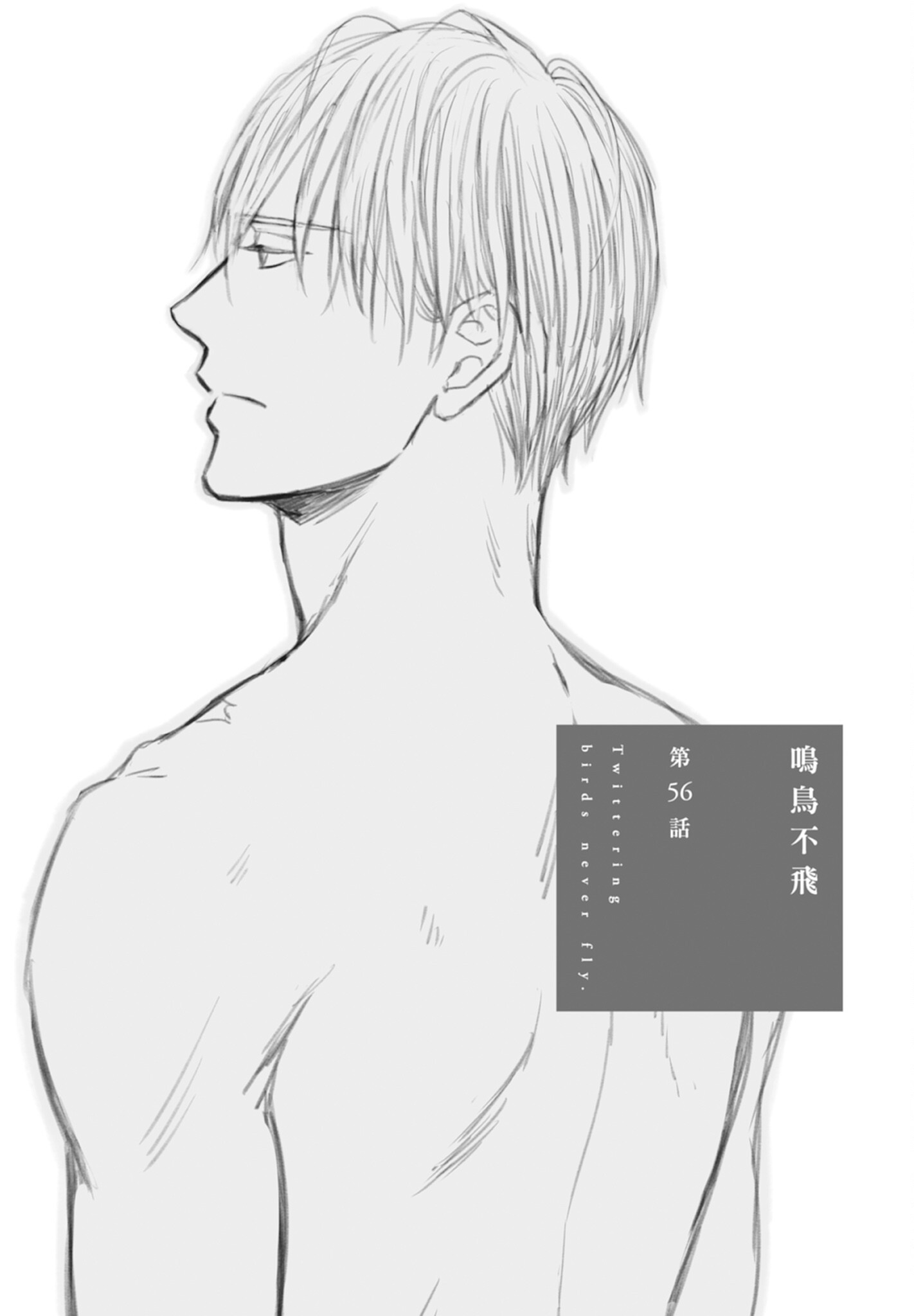 《鸣鸟不飞（单行本版）》漫画 第9册