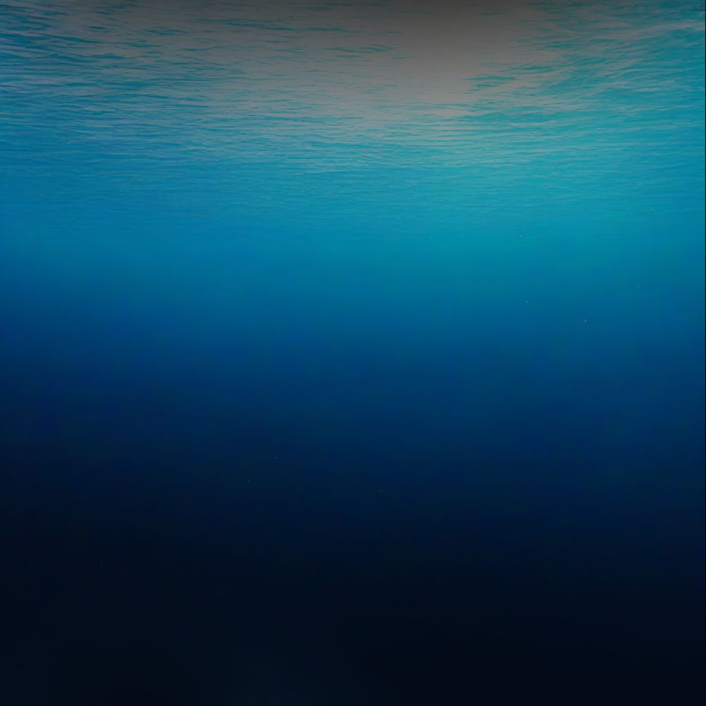 《献出温柔的妻子|상냥한 아내의 출근 배웅》漫画 第4話