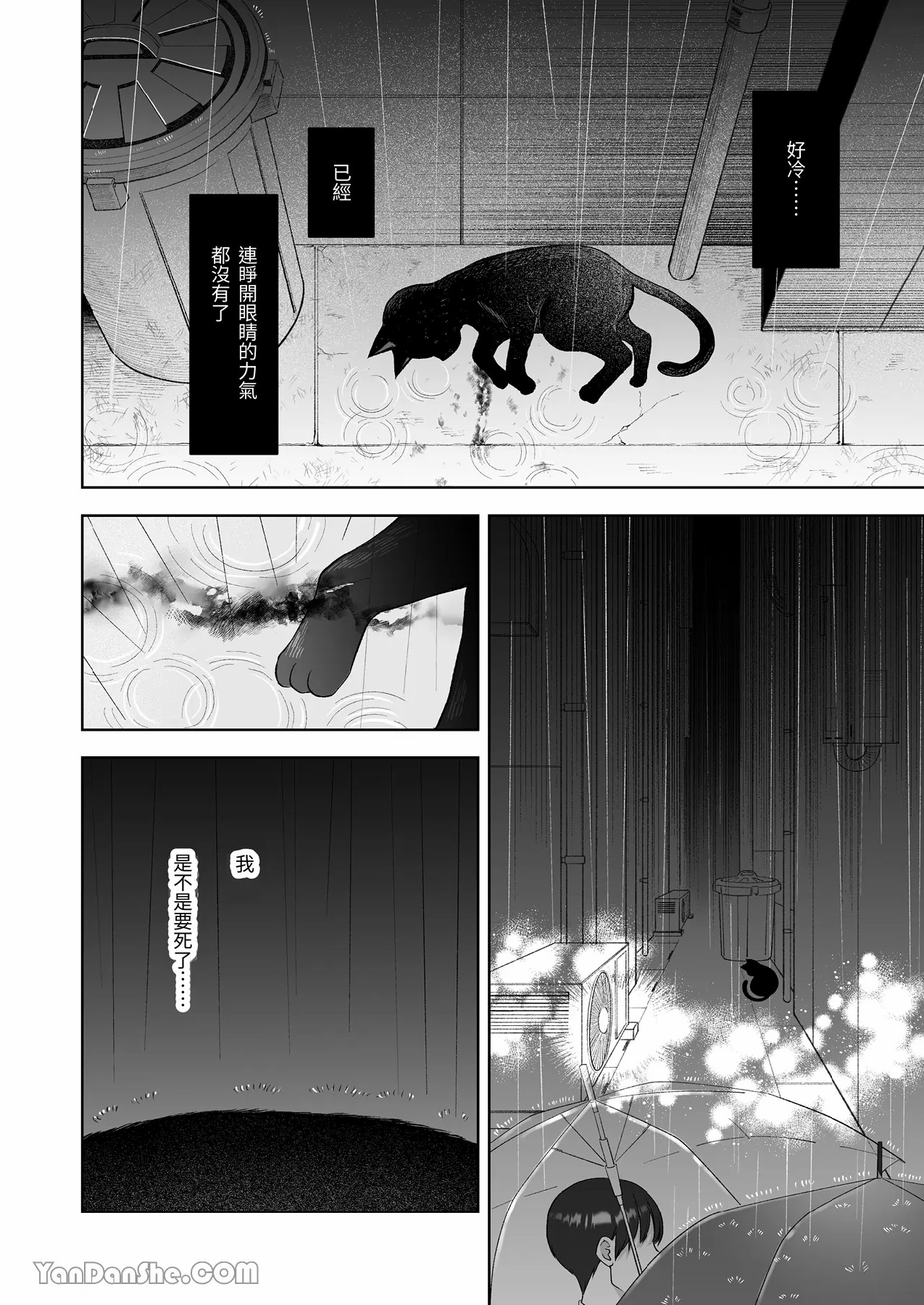 《黒猫クロくんの恩返しは不器用で不埒》漫画 第1話