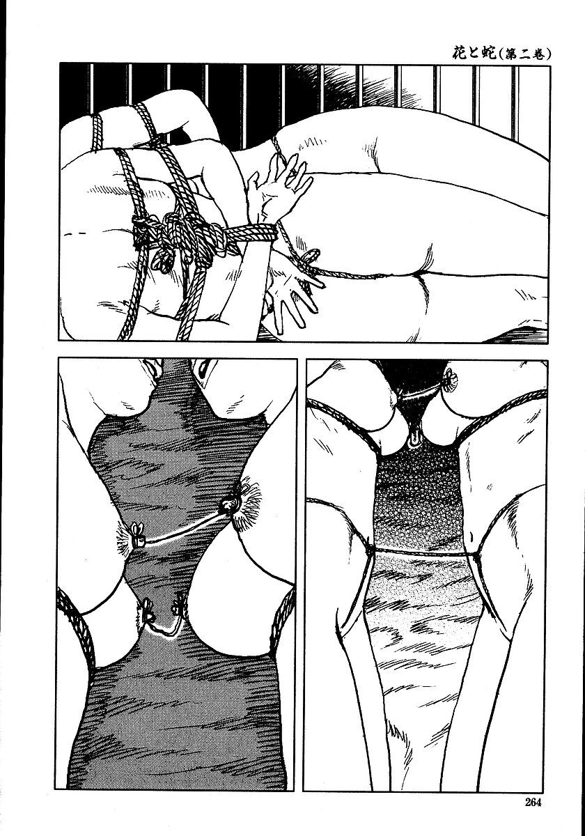 《花と蛇 1-4卷 [中国翻訳]》漫画 第2卷15-31話