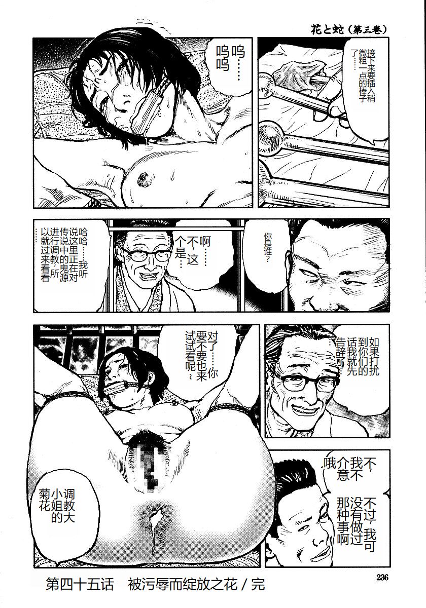 《花と蛇 1-4卷 [中国翻訳]》漫画 第3卷32-48話
