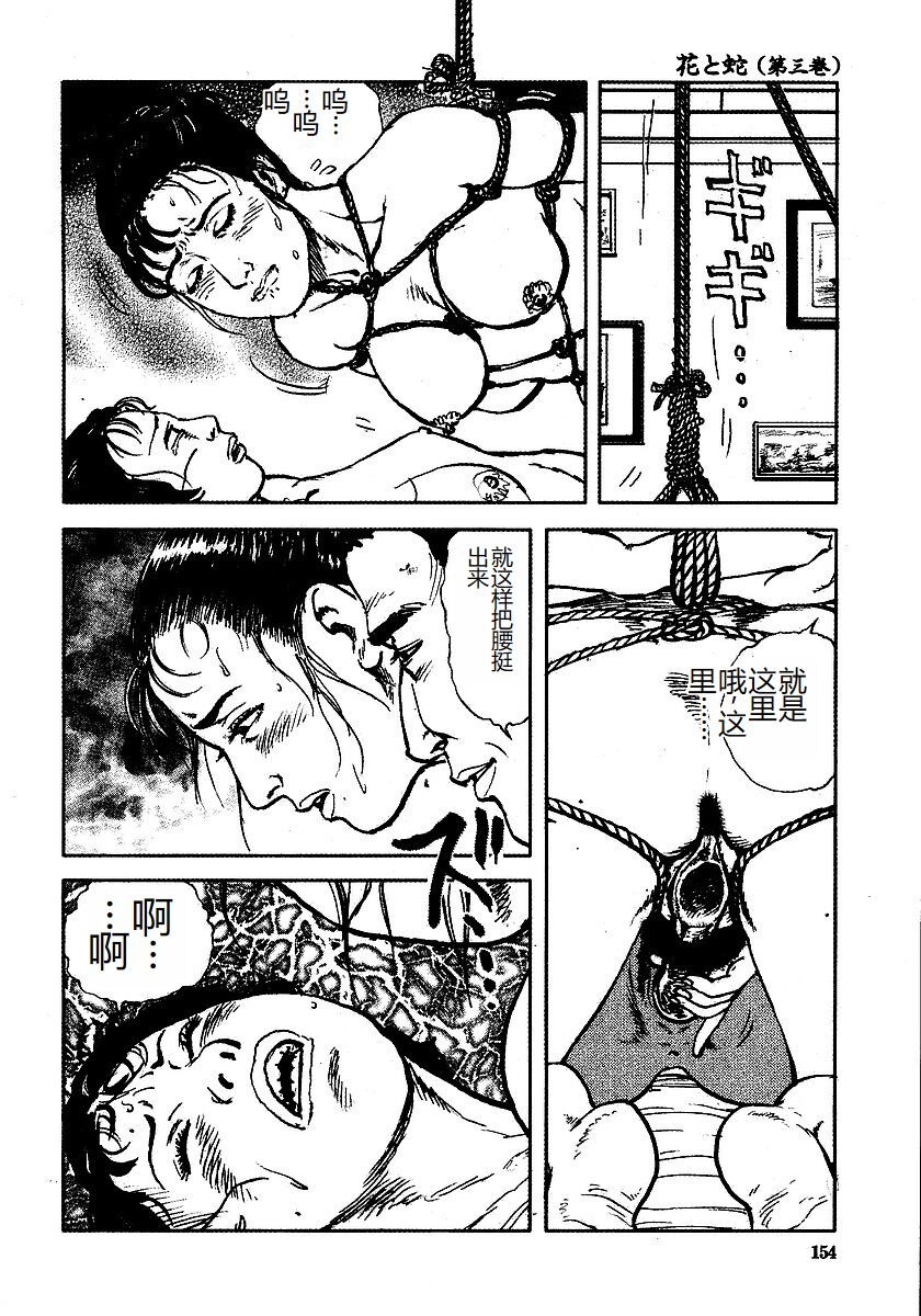 《花と蛇 1-4卷 [中国翻訳]》漫画 第3卷32-48話