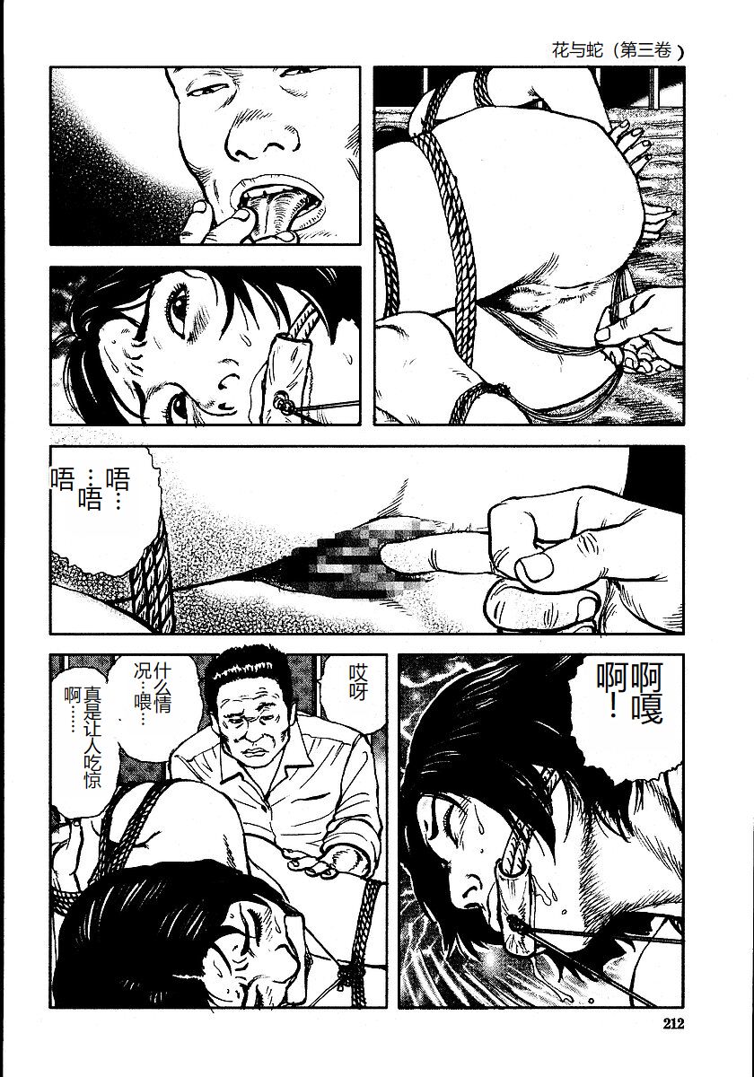 《花と蛇 1-4卷 [中国翻訳]》漫画 第3卷32-48話