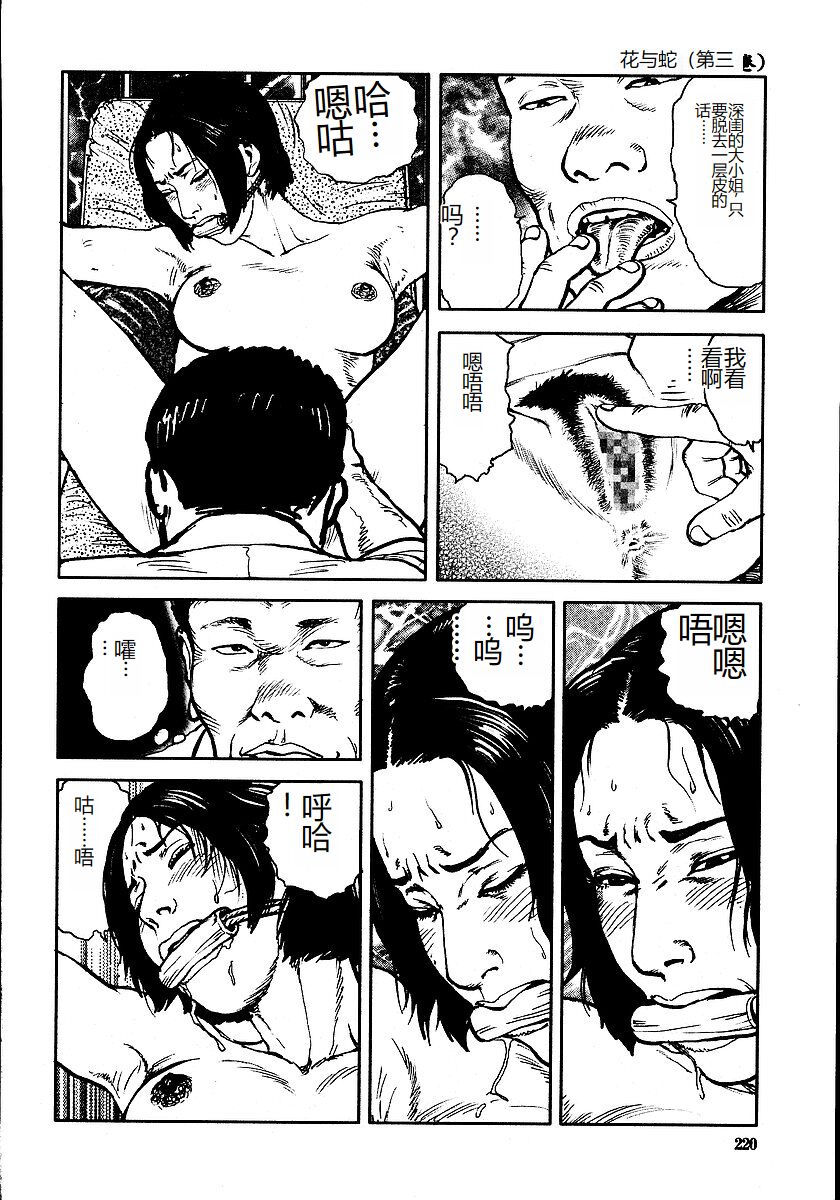 《花と蛇 1-4卷 [中国翻訳]》漫画 第3卷32-48話