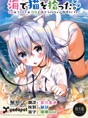 (C94) 海で猫を拾った。 [中国翻訳]