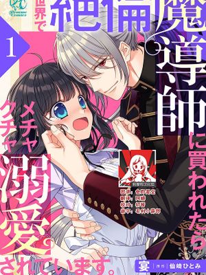 異世界で絶倫魔導師に買われたらメチャクチャ溺愛されています。