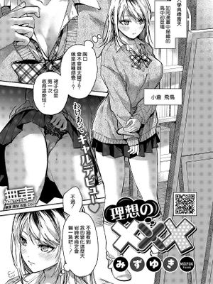 理想の×××