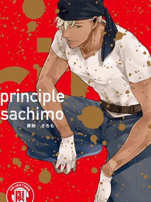 principle 原则