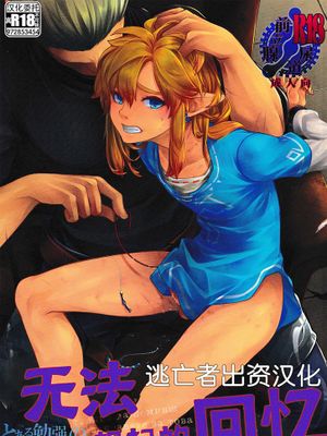 思い出してはいけない記憶 (ゼルダの伝説)漫画阅读