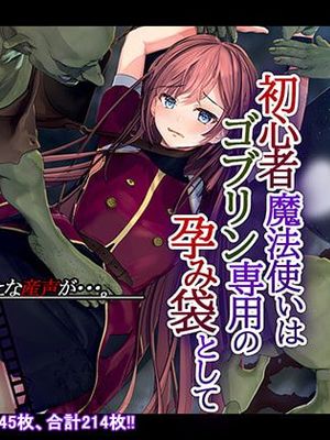 初心者魔法使いはゴブリン専用の孕み袋として