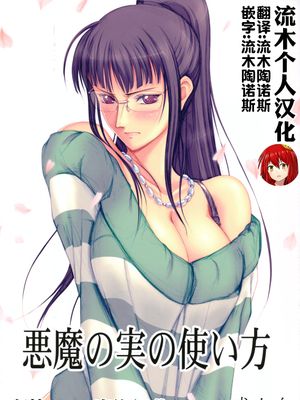 (C80) 悪魔の実の使い方 (ワンピース) [中国翻訳]