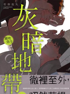 グレイゾーン | 灰暗地帶