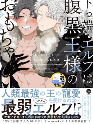 底层精灵是腹黑国王的玩物丨下っ端エルフは腹黒王様のおもちゃ
