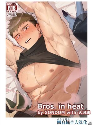 Bros. in Heat (漢祭 第15号)