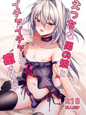 えっちな男の娘とイチャイチャして癒されたい