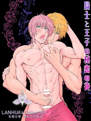骑士与王子的秘密之夜漫画阅读