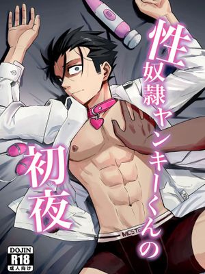 性奴隷ヤンキーくんの初夜