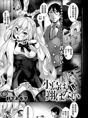 小鳥は翔ばない
