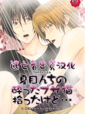 夏目んちの酔ったブサ猫拾ったけど…（夏目友人帳）