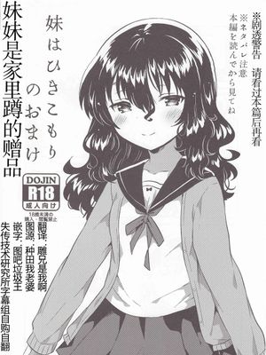 (C95) 妹はひきこもりのおまけ ロリとギターのおまけ (少女のD～squeezecandyheaven総集編～) [中国翻訳