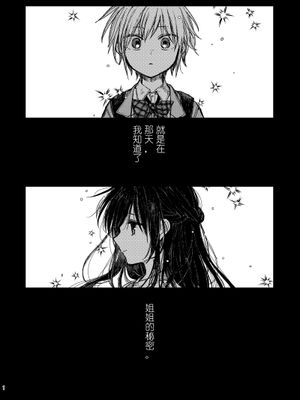おねロリまんが/姐姐的秘密