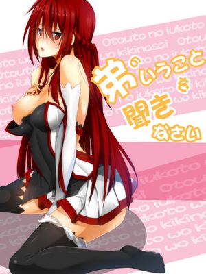 弟の言うことを聞きなさい【中国語注意】(Elsword)