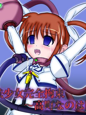 魔法少女完全拘束 高町奈叶败北篇