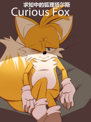 Curious Fox (Sonic The Hedgehog)