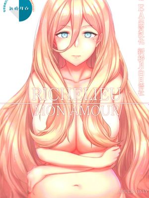 (C95) RICHELIEU MON AMOUR (艦隊これくしょん -艦これ-) [中国翻訳]漫画阅读