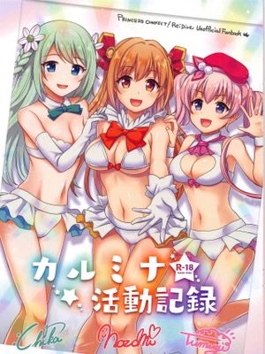 カルミナ活動記録