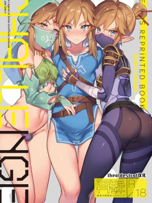 林克再录本-新绘漫画
