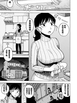 自家発電 (ないみつ)