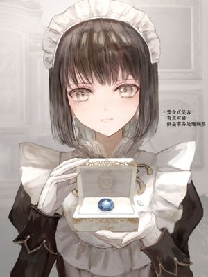 宝石商人的女仆