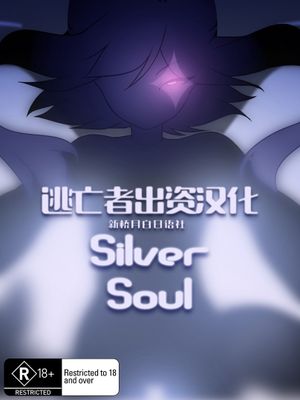 SilverSoul 系列