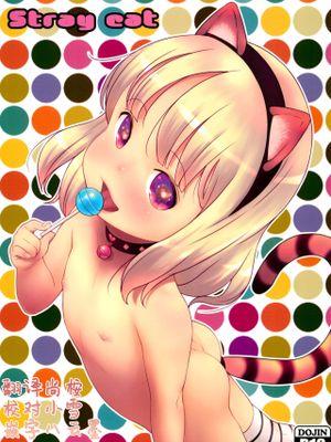(C96)Stray cat [中国翻訳]