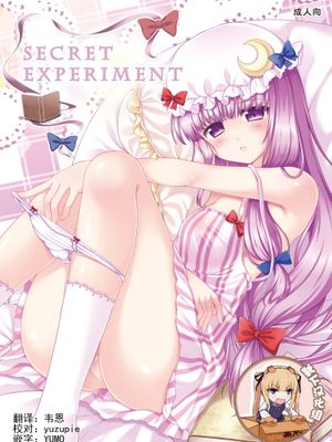SECRET EXPERIMENT (東方Project) [中国翻訳] [DL版]