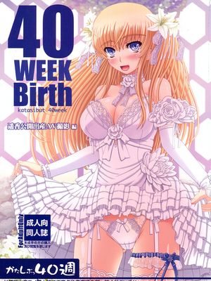 (C88) かたしぶっ40週＋会場限定本 [中国翻訳]
